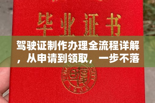 湖里驾驶证制作办理全流程详解，从申请到领取，一步不落
