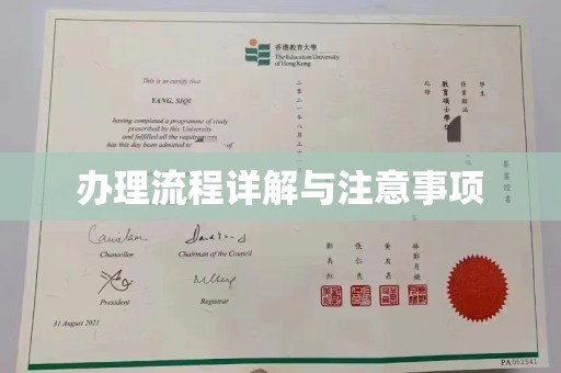 湖里办理流程详解与注意事项